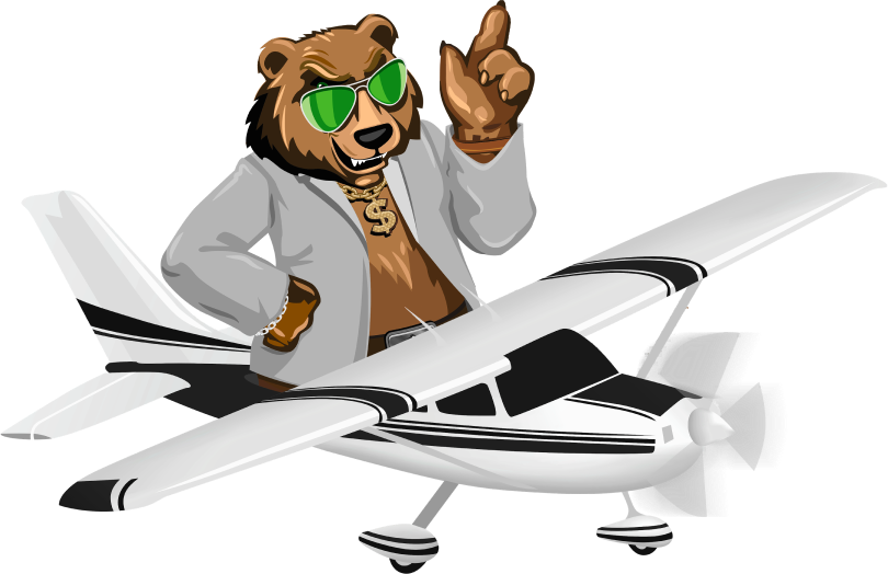 Медвед в самолёте